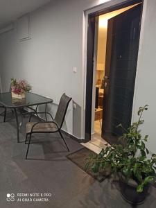 Modern and Newly Built Apartment