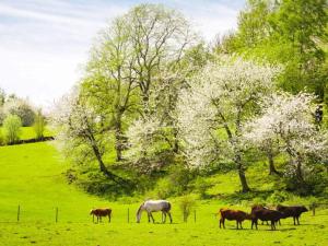 8 person holiday home in ANNEBY-By Traum