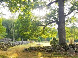 8 person holiday home in ANNEBY-By Traum