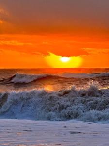 Apartment on the sea