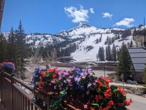 Brighton Ski Resort Hidden Falls 1 Bedroom Chalet Utah