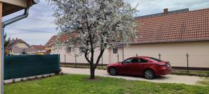 Limonádé Apartman AC Agárd Élményfürdő mellett