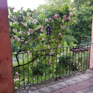 Appartamento nel Verde