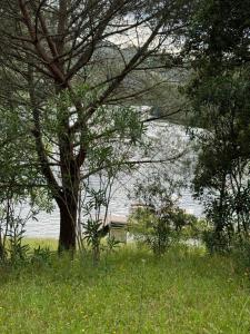 ALDEIA DA MARGARIDA