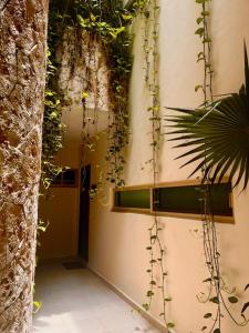 Garden Apartment ALDEA ZAMA Tulum