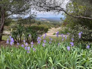 Appartements Lovely views in secret Provence : photos des chambres