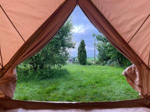 Bluebell Tent at Ballyward Croft
