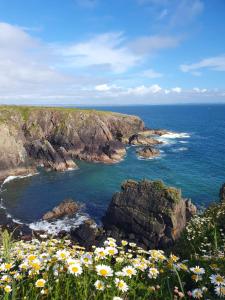 Escape to Pembrokeshire - charming spacious cottage
