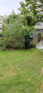 Maisons de vacances TY MAI - petite maison proche plages et commerces : photos des chambres