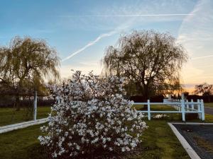 B&B / Chambres d'hotes AureFees : photos des chambres