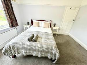 Bright Room near Southmead