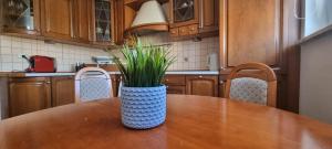 Apartament Panorama Redłowska