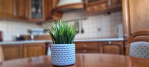 Apartament Panorama Redłowska