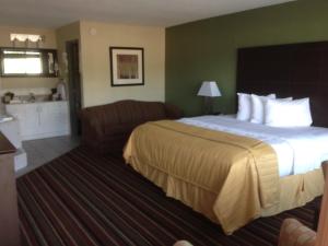 King Room with Sofa Bed - Non-Smoking room in Quality Inn & Suites - Horse Cave