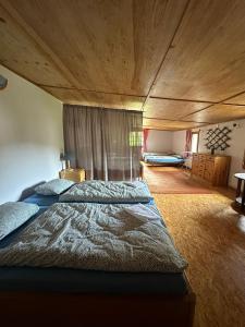 Chalupa u velbloudů Krkonoše