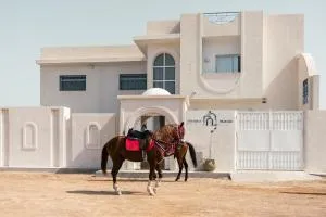 Dar Mima - Luxury Villa Djerba - Triffa