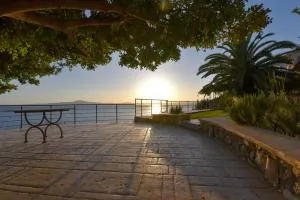 Exantas Home - Avía