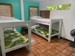 Backpackers Vacation Inn and Plantation Village