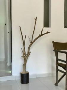 Apartaestudio 102 - Casa RURAL - Brisas del Campo