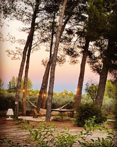 Maisons de vacances La Planque des Alpilles : photos des chambres