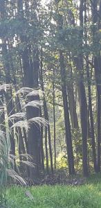 Eko Panorama Okolice Nałęczów