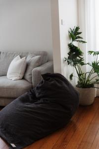 Newly renovated home Wendouree