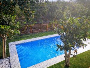 Casa de Campo Chinkay - Lunahuana