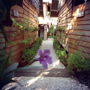 Sunset Moyo Bungalows