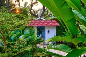 Blu Resorts