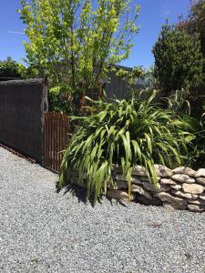 Pollys Retreat