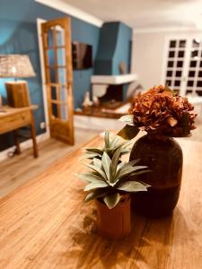 Maisons de vacances La Belle Vue : photos des chambres