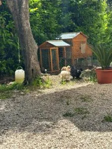 Maison entre Valbonne et Grasse - Plascassier