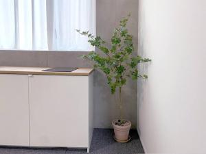 Hongdae good vibe with terrace