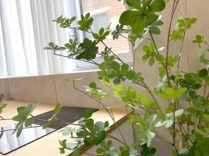 Hongdae good vibe with terrace