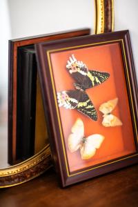 Maisons de vacances Maison des Chanoines : photos des chambres