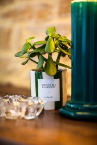 Maisons de vacances Maison des Chanoines : photos des chambres