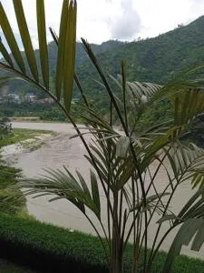 River View - Nagchala