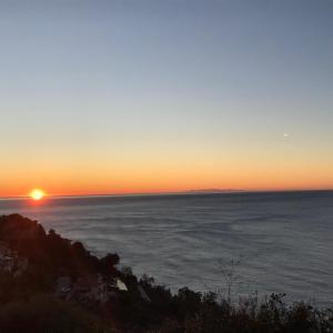 Il mare tra gli olivi