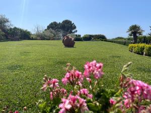 Appartamento Dragunara img24