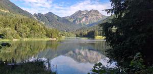 Chalets Les Curtillets : photos des chambres