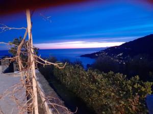 Il mare tra gli olivi