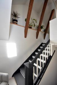 Apartamenty Basztowa