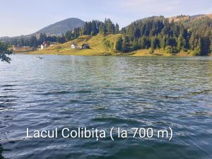 Montana Resort Colibita