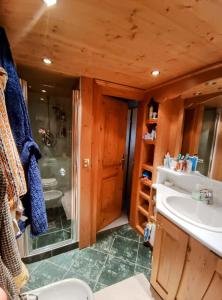 San vito di Cadore centro - Cortina Dampezzo