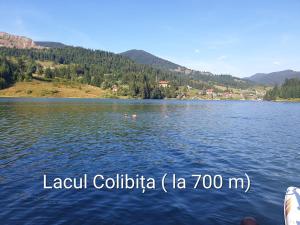 Montana Resort Colibita