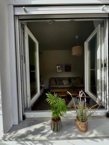 Relax under the mulberry tree