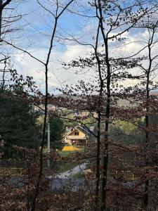 W Otulinie Czerwonej Góry