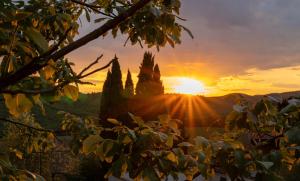 Villas Montclar : photos des chambres