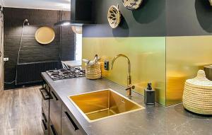 Stunning Home In Rheezerveen With Sauna