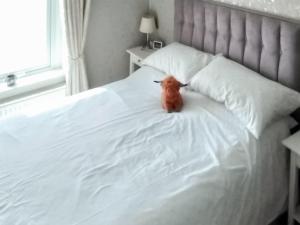 Honeysuckle Cottage